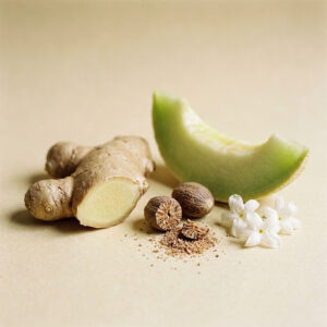Ginger, Nutmeg, Jasmine, Melon — the heart of Bowstave.