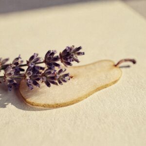Lavender, Pear, Bergamot &mdash; the opening of Fae Nectar.
