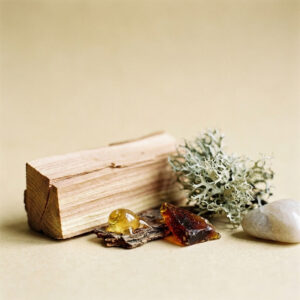 Ambroxan, Cedarwood, Fir Resin, Caramelized Sugar, Oakmoss &mdash; the dry-down of Halo.