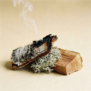 Birch Tar, Musk, Oakmoss, Cedarwood, Ambroxan &mdash; the dry-down of Hearthfruit.