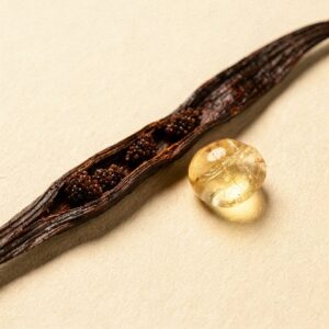 Bourbon Vanilla, Elemi &mdash; the heart of Vanwood.