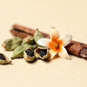 Cinnamon, Orange Blossom, Cardamom, Bergamot &mdash; the opening of Vanwood.